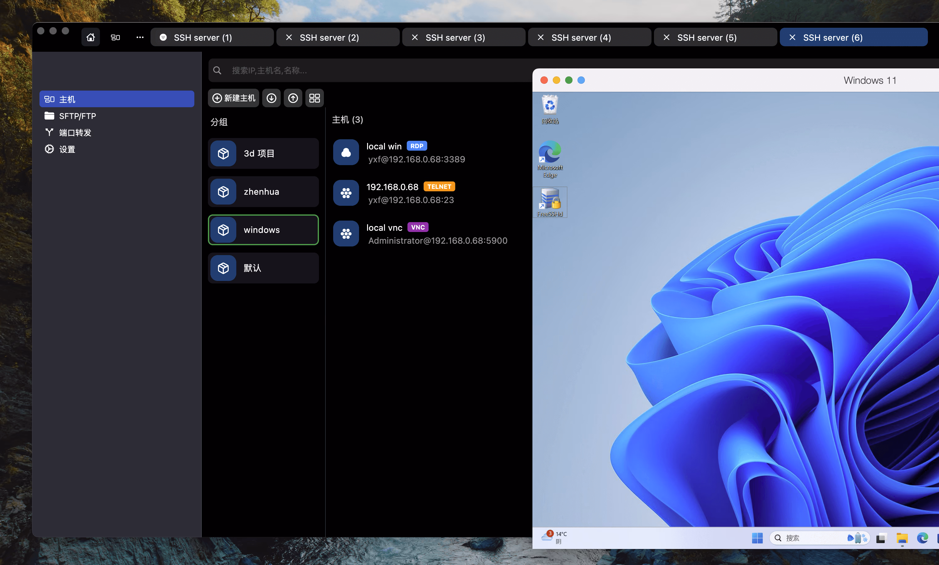 DartShell product showcase