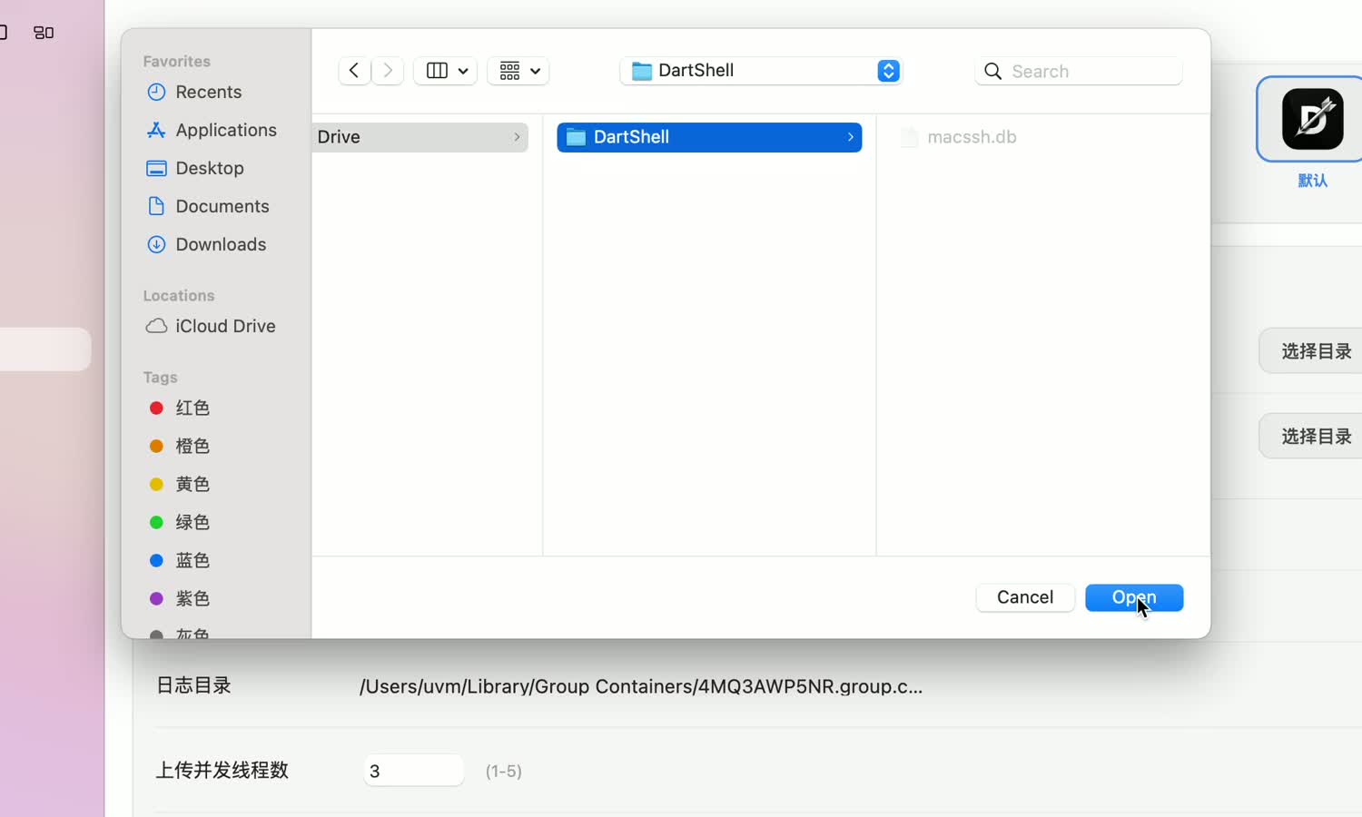 Select the DartShell folder in iCloud Drive